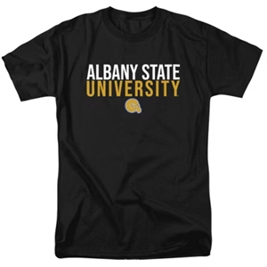 Camiseta de punto transpirable personalizada de la Universidad Estatal de Albany HBCU College Team Apparel Summer Casual Camiseta al por mayor - Product Image 6