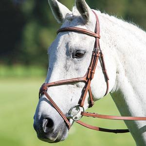 Bride de cheval-Chêne New Cob Brown Bridle Couleur Rembourrage Coutures contrastées - Product Image 2