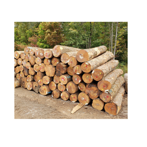 Cheap Price White <b>Oak</b> Firewood <b>Logs</b> and Wood Briquettes Energy Related Products on Sale - Product Image 3