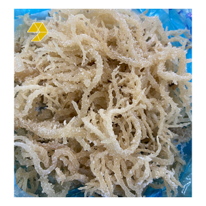 Mousse de mer irlandaise séchée blanche Vietnam-Mousse irlandaise Eucheuma Cottonii Algues Seamoss Naturel - Product Image 5