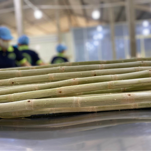 CAÑA DE AZÚCAR CONGELADA DE VIETNAM | RICO SABOR NATURAL | GRADO DE EXPORTACIÓN LISTO PARA USAR - Product Image 5