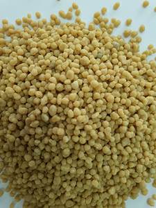 Fosfato de diamonio de origen vietnamita (DAP): mejor precio global de un exportador agrícola de confianza - Product Image 2