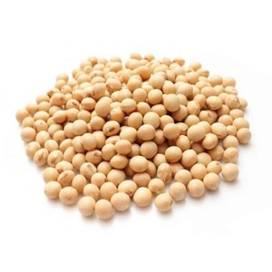 ถั่วเหลือง (Glycine Max) จากประเทศไทย - เมล็ดแห้งจำนวนมากสำหรับการแปรรูปอาหารและการสกัดน้ำมัน - Product Image 6
