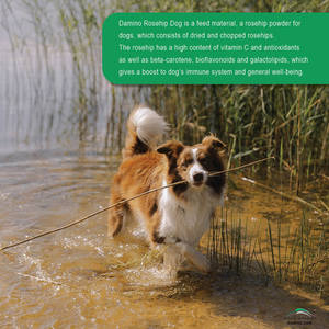 Damino Rosehip Dog Naturellement Teneur élevée en Vitamine C Les galatolipides et les antioxydants aident à stimuler le système immunitaire 400g - Product Image 3