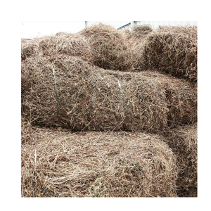 Mesona chinensis ชาและเจลลี่สมุนไพรที่ใช้ในเอเชียเครื่องดื่มเย็นมังสวิรัติธรรมชาติส่วนผสมจากพืช - Product Image 1