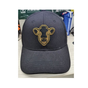 Casquette de baseball de sport de conception de logo personnalisé de bonne qualité à prix bon marché vente en gros nouvelle conception personnalisée 6 panneaux casquettes de sport vierges - Product Image 4