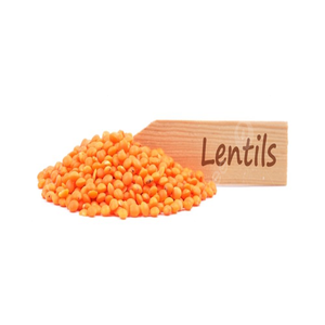 HIGH QUALITY RED <b>LENTILS</b> GRAINS - Product Image 6