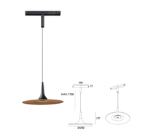 DC 48V nordique noir japonais suspension lampe éclairage Led décoratif pendentif lumière lustres plafond pendentif lumières or