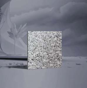 Surfaces flambées et polies en granit blanc de qualité supérieure pour les voies de jardin d'aménagement paysager intérieur et extérieur - Product Image 2