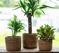 Pots et jardinières en jonc de mer tressés à la main, style floral, avec doublures en plastique