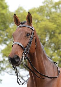 Chasseur Cavesson Bride Rembourré Casque Flash Bride Top qualité Cheval Snaffle Bride En Cuir Marron - Product Image 5