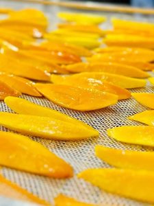 VENTE EN GROS MANGUE SÉCHÉE AROMATISÉE SNACK | VDELTA EXPORT 2025 - Product Image 2