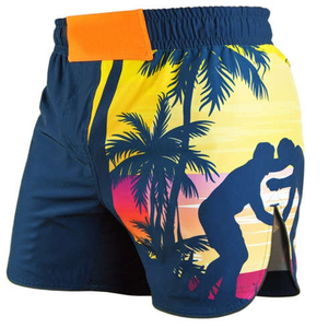 Pantalones cortos ligeros de MMA al por mayor con cintura elástica cómoda último diseño OEM ropa de artes marciales para la venta en línea - Product Image 5