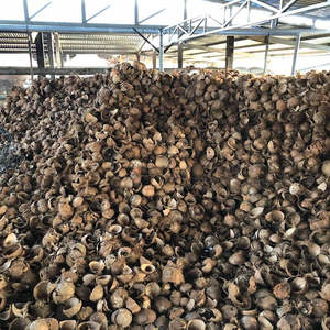 MINA +84 325 608 680/ VIETNAM CÁSCARA DE COCO - Product Image 6