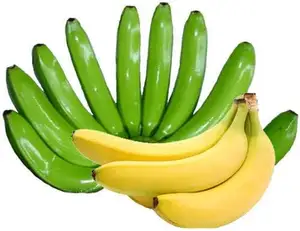 Quality Assurance Natural Green Fresh Cavendish Bananas Lowest Price Fresh Cavendish Bananas Manufacturer From Philippines