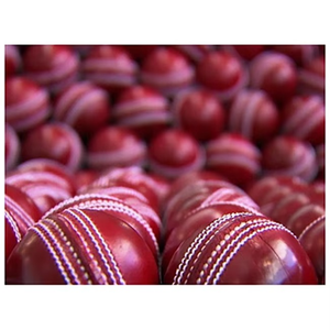 Alto diseño personalizado profesional Bolas duras de cricket ligeras Equipo de práctica de nueva llegada - Product Image 2