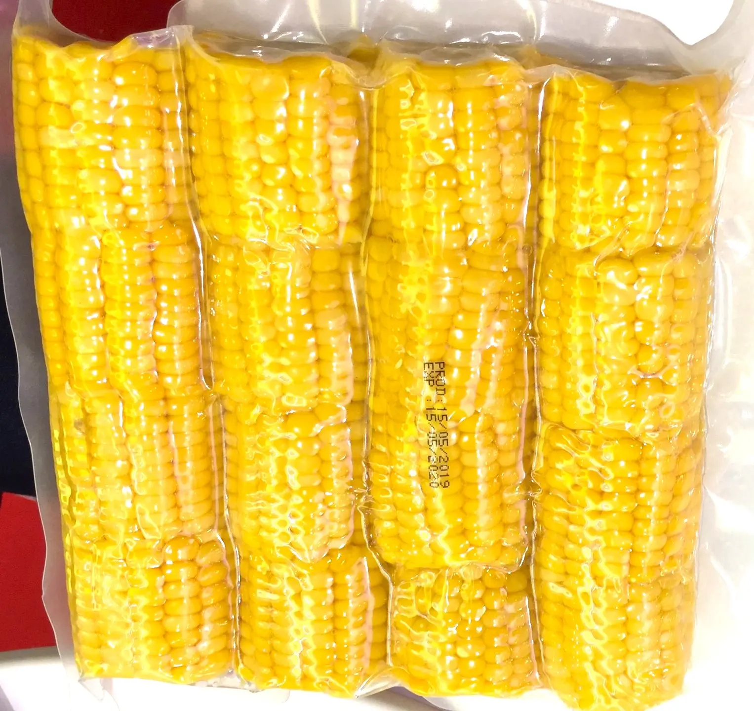 New Crop Best Selling Cut Cob Sweet Corn with Nutrition Available at Wholesale Price from Indian Exporter