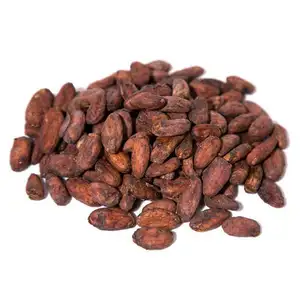 Best Selling 100% Organic Cocoa Beans Online,Raw Sun Dried Criollo Green Cocao Beans for High Quality Chocolate Export Wholesale