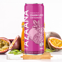 Kombucha Topverkoop Passiefruit Gezonde Dranken Niet-Alcoholisch Klaar Om Te Drinken Van Vietnam Fabrikant