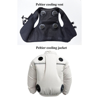 Modules de refroidissement Peltier semi-conducteurs d'été pour veste de refroidissement
