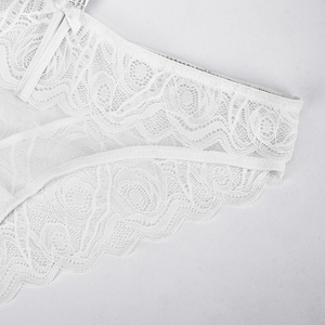 Culotte en coton à motif solide personnalisée pour femmes, sous-vêtements imprimés OEM pour adultes avec couleurs personnalisées - Product Image 3