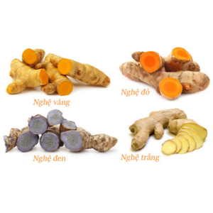 Contenedor de cúrcuma amarilla de especias de tendencia caliente exportado de Vietnam precio de fábrica de especias barato de alta calidad - Product Image 2