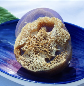 SAVON DE LOOFAH NATUREL PREMIUM POUR L'EXPORTATION DU VIETNAM - Product Image 6