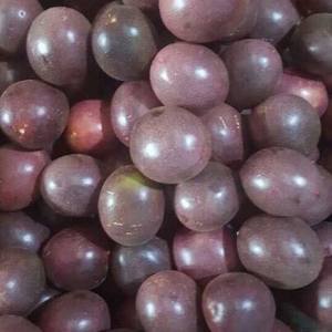 Fruit de la passion du Vietnam, fruit de la Passion, pas cher, livraison rapide, Ms sofia - Product Image 6