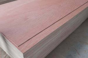 Contreplaqué commercial avec face en bintangor, design moderne, utilisation en appartement, taille 1220x2440 - Product Image 3