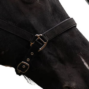 Wholesale Rate Factory Rate Newest Trendy Comfort Fit Horse Halter Adjustable <b>Buckles</b> Durable Nylon/Genuine Leather Stable - Product Image 5