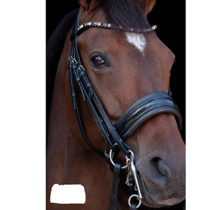 Bride Snaffle - Product Image 6