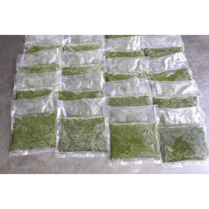 Precio inmejorable: alta calidad 100% congeladas para la industria alimentaria Frescas hojas de yuca, directamente de 99 Gold Data en Vietnam. - Product Image 3