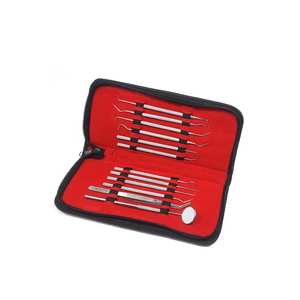 SURGINEXA Kit d'instruments dentaires professionnels en acier allemand, 12 pièces, comprenant un cure-dent, un scalpel, un miroir - Product Image 1