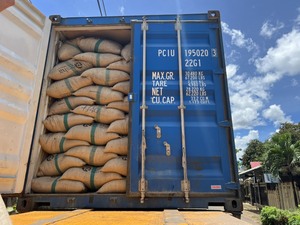 500FAQ 500 Clean 550 + Poivre noir Exportateur d'épices d'herbes séchées de la plus haute qualité 2024 disponible + 84796855283 - Product Image 6