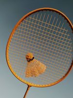 Ballon de sport de badminton professionnel personnalisé volant en nylon de qualité supérieure avec logo tête de mer en plumes d'oie couleurs personnalisées en liège de canard