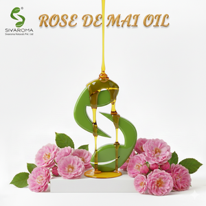 Huile essentielle de rose de Mai 100% pure de qualité supérieure certifiée GMP, distillée à la vapeur, pour les huiles parfumées, les bases cosmétiques, aromatiques - Product Image 2
