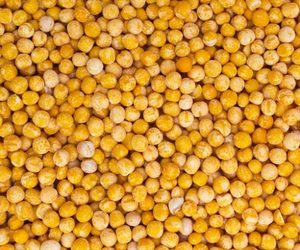Guisantes secos orgánicos a la venta - Product Image 6