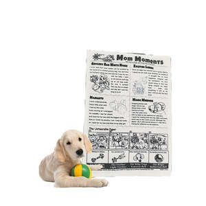 Nouveaux jouets à mâcher pour chiens écologiques, en toile résistante, jouets d'entraînement personnalisés pour animaux de compagnie, jouets résistants aux morsures et aux odeurs - Product Image 1