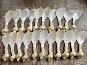 Handcrafted wooden <b>spoon</b> mother of pearl seashell and shell <b>spoon</b> collection ideal for luxury <b>serving</b> tasting and decor - Product Image 3