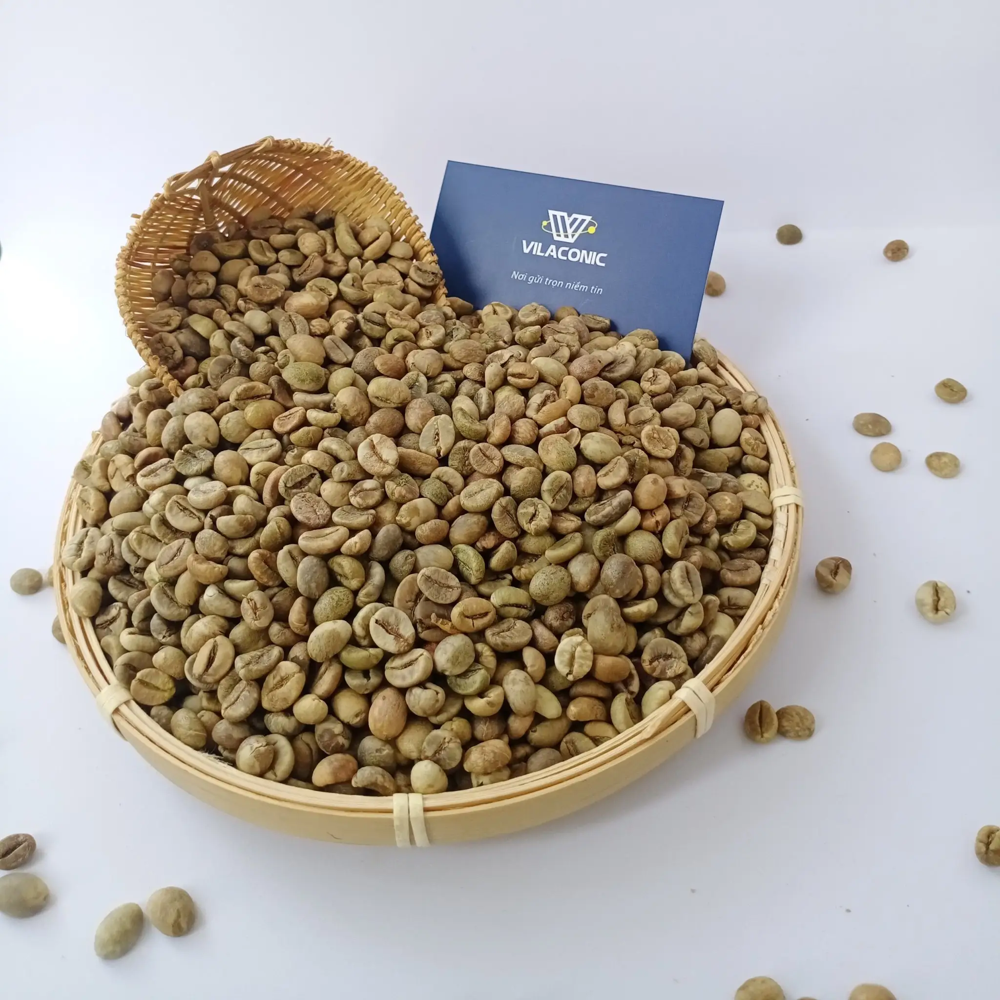Сырой/чистый/влажный полированный кофе в зернах арабика/Робуста по лучшей цене от Вьетнама + 84 969 732 947