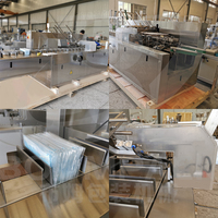 Machine d'emballage automatique en carton sur mesure pour usine, petites machines d'emballage de boîtes en carton pour serviettes jetables et mouchoirs en papier