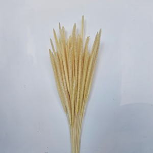Bouquet de fleurs de blé séchées naturelles pour la maison, la fête des mères, la remise des diplômes - Product Image 2