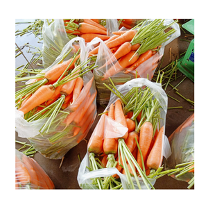 Zanahoria fresca de alta calidad en paquete de cartón-Exportación de EAU - Product Image 6