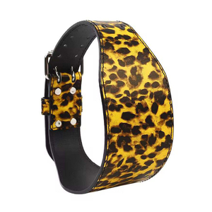 Cinturón de levantamiento de pesas diseñado para rutinas de fuerza en el gimnasio con soporte firme para la cintura, ajuste ajustable, hebilla segura y levantamiento. - Product Image 2