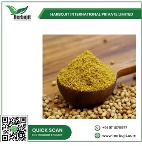 Polvo de Cilantro Fresco de Primera Calidad (Coriandrum Sativum) Sin OMG, Especia India para Platos Sabrosos, Apoyo al Bienestar, 12 Meses - Product Image 6