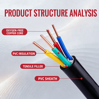Cable de Alimentación de Cobre VV 0.6/1kV, Aislado con PVC, Revestimiento de PVC, Cable Eléctrico de Bajo Voltaje para Distribución de Energía