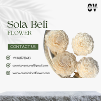 Fleurs Sola Beli Écologiques Éternelles de Haute Qualité Faites à la Main, Décoration Désodorisante Romantique pour Remise de Diplôme et Fête des Pères