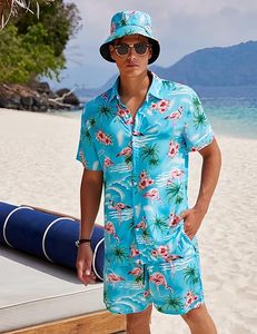 Conjuntos Deportivos Casuales de Verano para Hombre, Transpirables, Hawaianos, Camisetas Polo con Cierre de Cremallera y Pantalones Cortos, Conjuntos de Cintura Media - Product Image 2