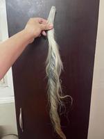 Rambut Ekor Sapi Premium Sangat Bersih, Tulang Asli, Pola Alami, Panjang 50-80cm, Tersedia Warna Hitam/Coklat/Putih Krem, Untuk Pembuatan Sikat/Kerajinan, 65g
