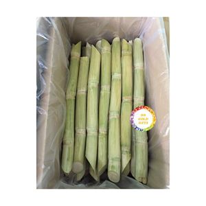 Frozen Sugarcane Vietnam Manufacturer Providing Natural Fresh Cut <b>Sticks</b> For Beverage Factory Retail And Food Service Brands - Product Image 5